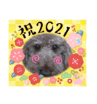 coco 202012（個別スタンプ：9）