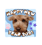 coco 202012（個別スタンプ：10）