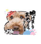 coco 202012（個別スタンプ：11）