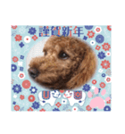 coco 202012（個別スタンプ：12）