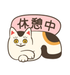 いつものおだやかなねこ（個別スタンプ：1）