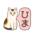 いつものおだやかなねこ（個別スタンプ：23）