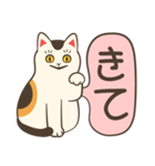 いつものおだやかなねこ（個別スタンプ：24）