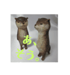 木彫り相づち編（個別スタンプ：2）
