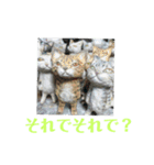 木彫り相づち編（個別スタンプ：4）