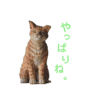 木彫り相づち編（個別スタンプ：11）