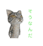 木彫り相づち編（個別スタンプ：12）