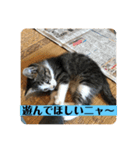 Q太郎スタンプ第8弾（個別スタンプ：2）