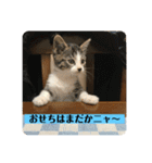 Q太郎スタンプ第8弾（個別スタンプ：3）