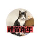Q太郎スタンプ第8弾（個別スタンプ：4）