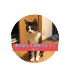 Q太郎スタンプ第8弾（個別スタンプ：5）