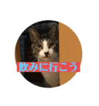 Q太郎スタンプ第8弾（個別スタンプ：7）