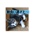Q太郎スタンプ第8弾（個別スタンプ：9）