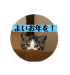 Q太郎スタンプ第8弾（個別スタンプ：10）