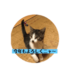 Q太郎スタンプ第8弾（個別スタンプ：14）