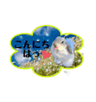 うさぎのリリィさん（Lilytic）（個別スタンプ：3）