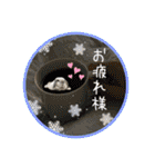 うさぎのリリィさん（Lilytic）（個別スタンプ：4）