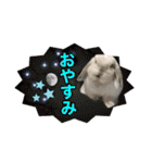 うさぎのリリィさん（Lilytic）（個別スタンプ：6）