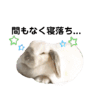 うさぎのリリィさん（Lilytic）（個別スタンプ：9）
