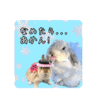 うさぎのリリィさん（Lilytic）（個別スタンプ：12）