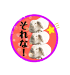 うさぎのリリィさん（Lilytic）（個別スタンプ：20）