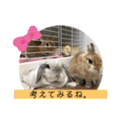 うさぎのリリィさん（Lilytic）（個別スタンプ：22）