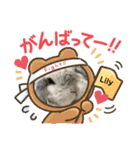 うさぎのリリィさん（Lilytic）（個別スタンプ：23）