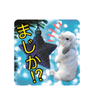 うさぎのリリィさん（Lilytic）（個別スタンプ：25）