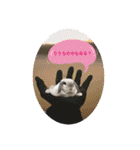 うさぎのリリィさん（Lilytic）（個別スタンプ：26）
