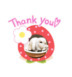 うさぎのリリィさん（Lilytic）（個別スタンプ：33）