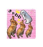 うさぎのリリィさん（Lilytic）（個別スタンプ：34）