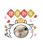 うさぎのリリィさん（Lilytic）（個別スタンプ：37）