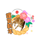 Ginger Tabby Cat Brothers 13（個別スタンプ：8）