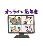 冬の京都のねこ（個別スタンプ：11）