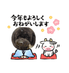 トイプードルがっくん（個別スタンプ：3）