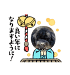 トイプードルがっくん（個別スタンプ：4）