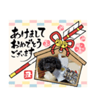 トイプードルがっくん（個別スタンプ：6）