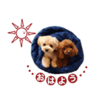 momochan.rinchan（個別スタンプ：1）