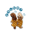 momochan.rinchan（個別スタンプ：6）