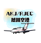 飛行機・航空ファン〜空港コード③〜（個別スタンプ：4）