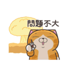 ランラン猫 23 (台湾版)（個別スタンプ：2）
