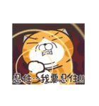 ランラン猫 23 (台湾版)（個別スタンプ：15）