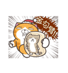 ランラン猫 23 (台湾版)（個別スタンプ：21）