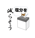 茶トラ白猫と健康（個別スタンプ：12）