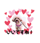 はな(175)（個別スタンプ：7）