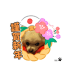 Haruくん。（個別スタンプ：1）