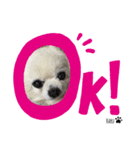 Haruくん。（個別スタンプ：5）
