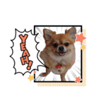 チョコ(365)（個別スタンプ：4）