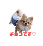 チョコ(365)（個別スタンプ：7）