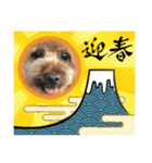 徳島（デカ文字）お正月だョトイプークム3（個別スタンプ：1）
